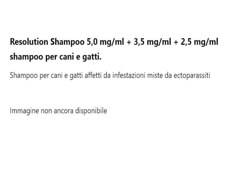 RESOLUTION SHAMPOO