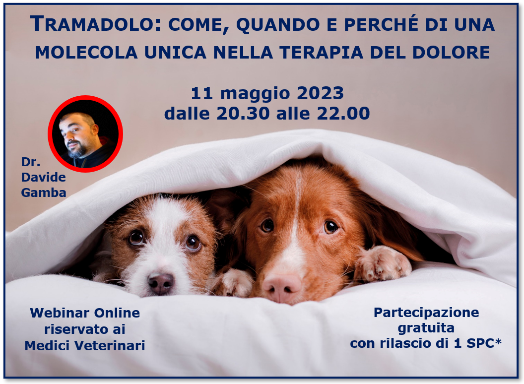 immagine webinar